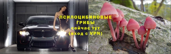 ГАЛЛЮЦИНОГЕННЫЕ ГРИБЫ Абаза