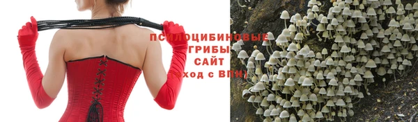 ГАЛЛЮЦИНОГЕННЫЕ ГРИБЫ Абаза