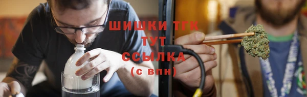 ГАЛЛЮЦИНОГЕННЫЕ ГРИБЫ Абаза