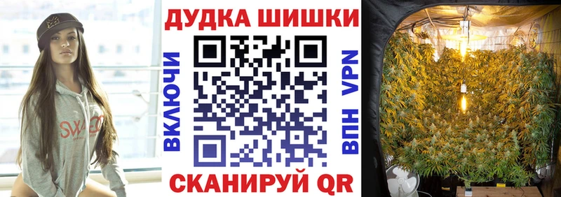 KRAKEN ссылка Шенкурск Бошки марихуана Amnesia